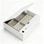 F0630 home safe with fingerprint and touch keypad locks